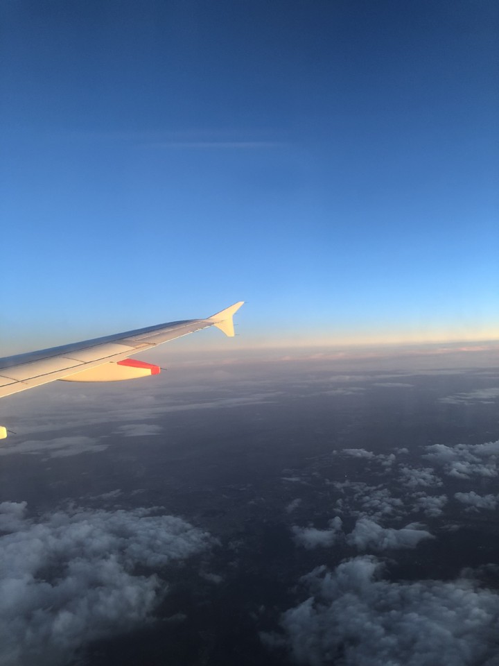 01BAC4D6-5C1E-470E-A1FE-C12D04D97356.jpeg 01BAC4D6-5C1E-470E-A1FE-C12D04D97356.jpeg