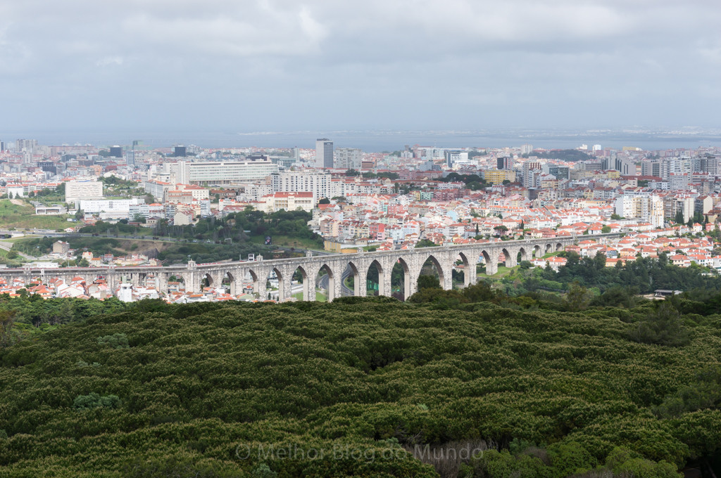 DSC02272.jpg DSC02272.jpg