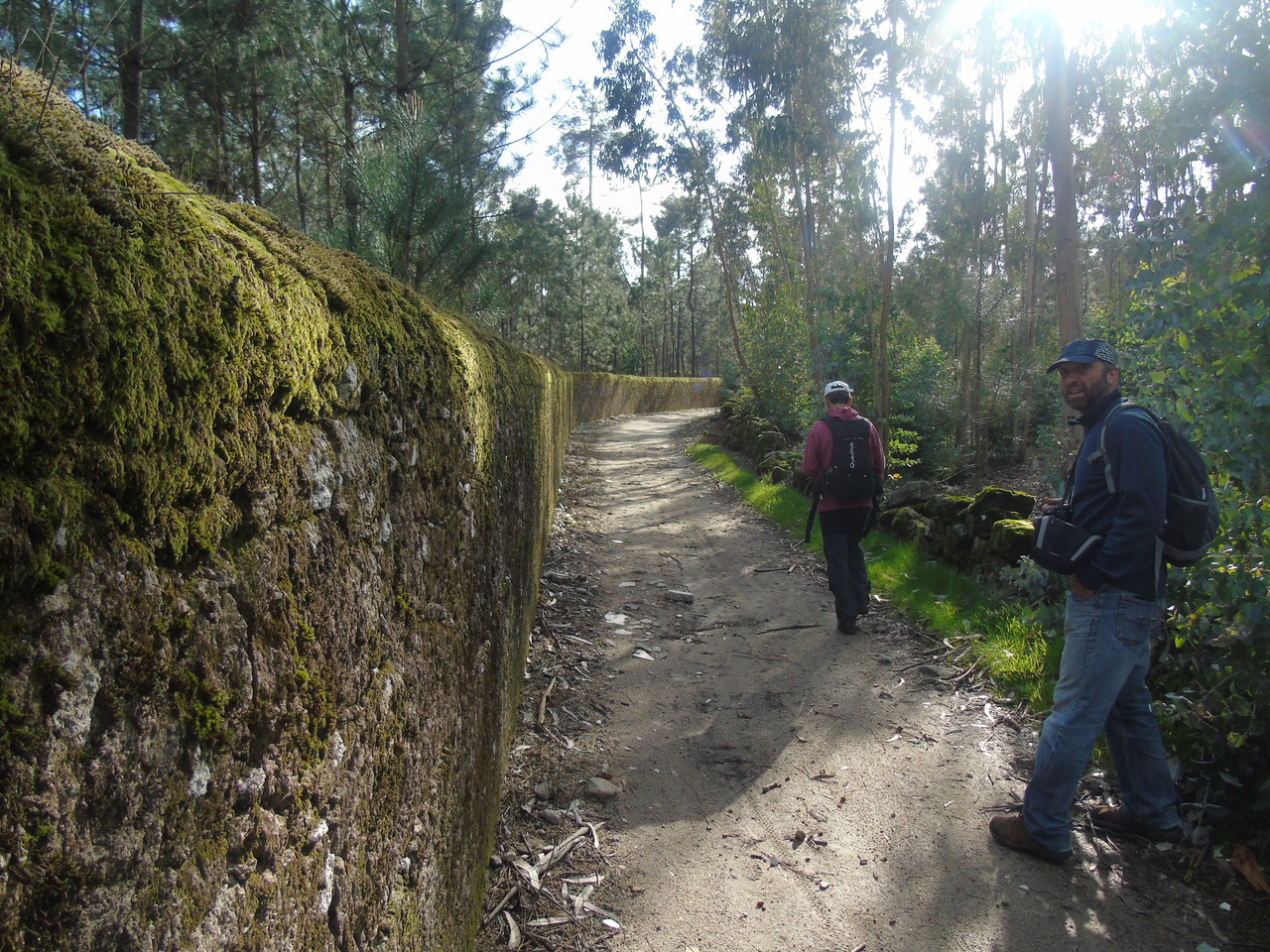 DSC08758.JPG DSC08758.JPG