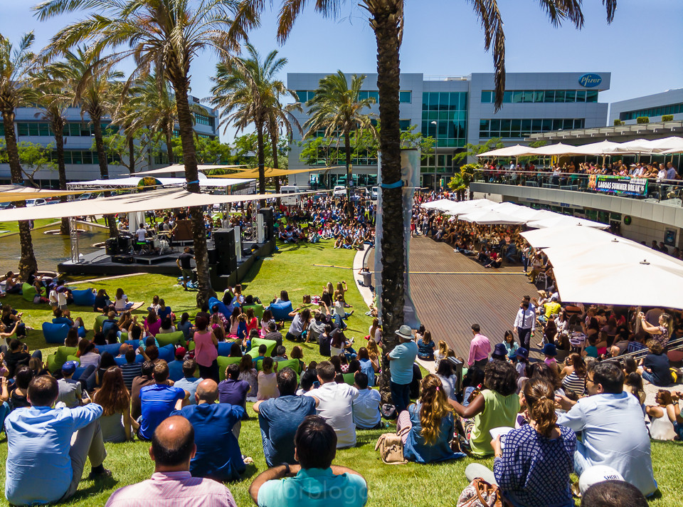 IMG_20160624_132958.jpg IMG_20160624_132958.jpg