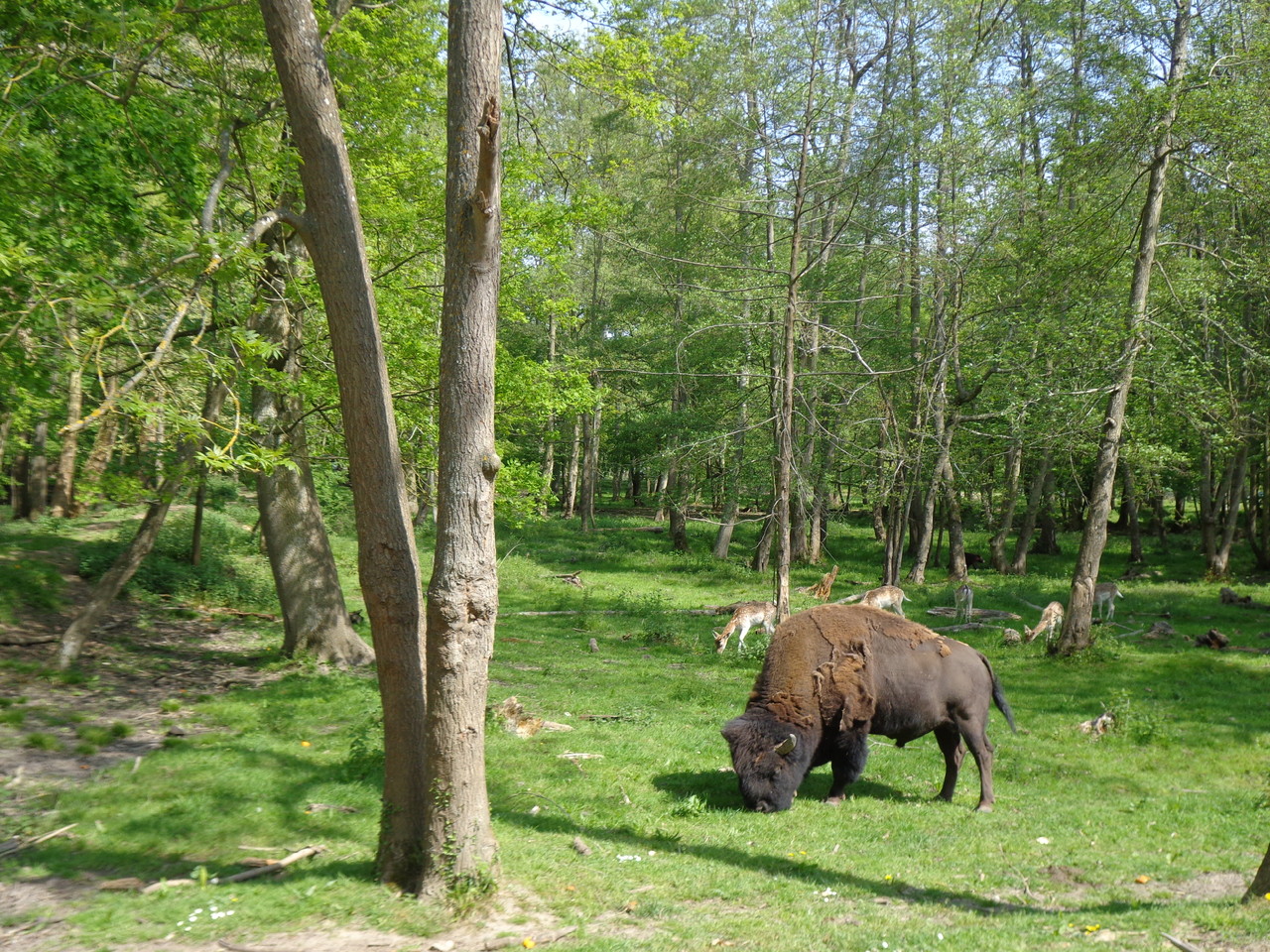 DSC09365.JPG DSC09365.JPG