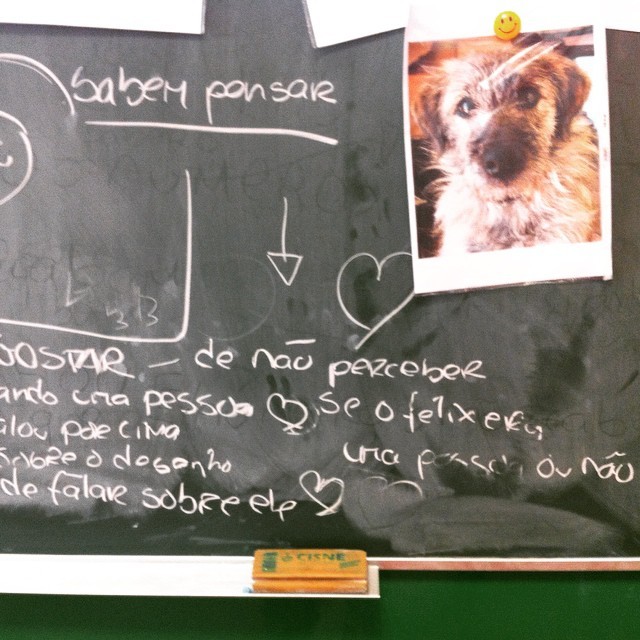 12317657_802900579821300_199817870_n.jpg 12317657_802900579821300_199817870_n.jpg