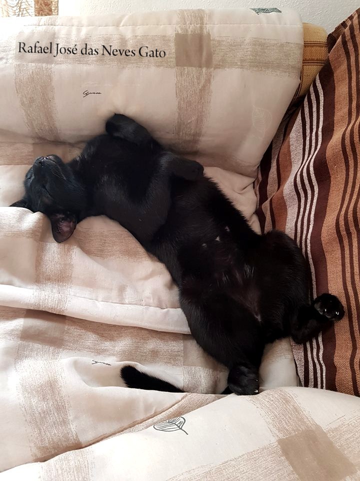 rafita.jpg rafita.jpg