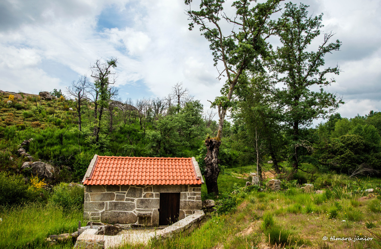 2015 - Cascata de Fírvidas (Montalegre) (1).jpg