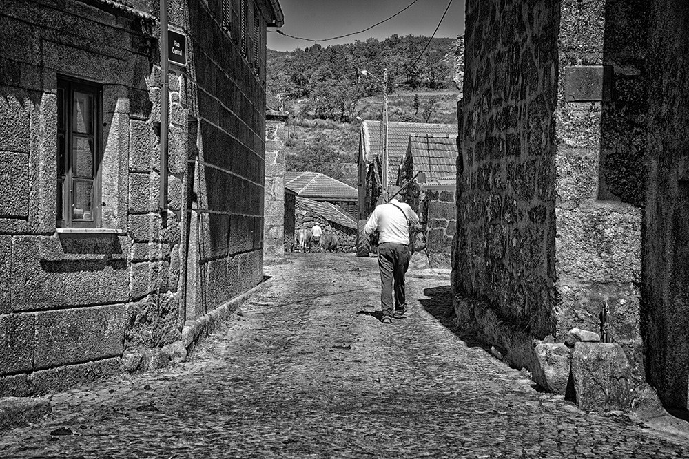 _JMF6556 - Cópia.jpg