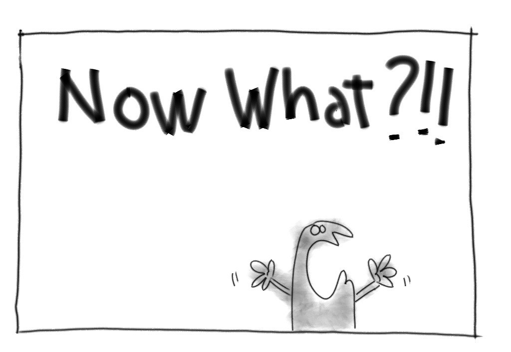 now-what.jpg