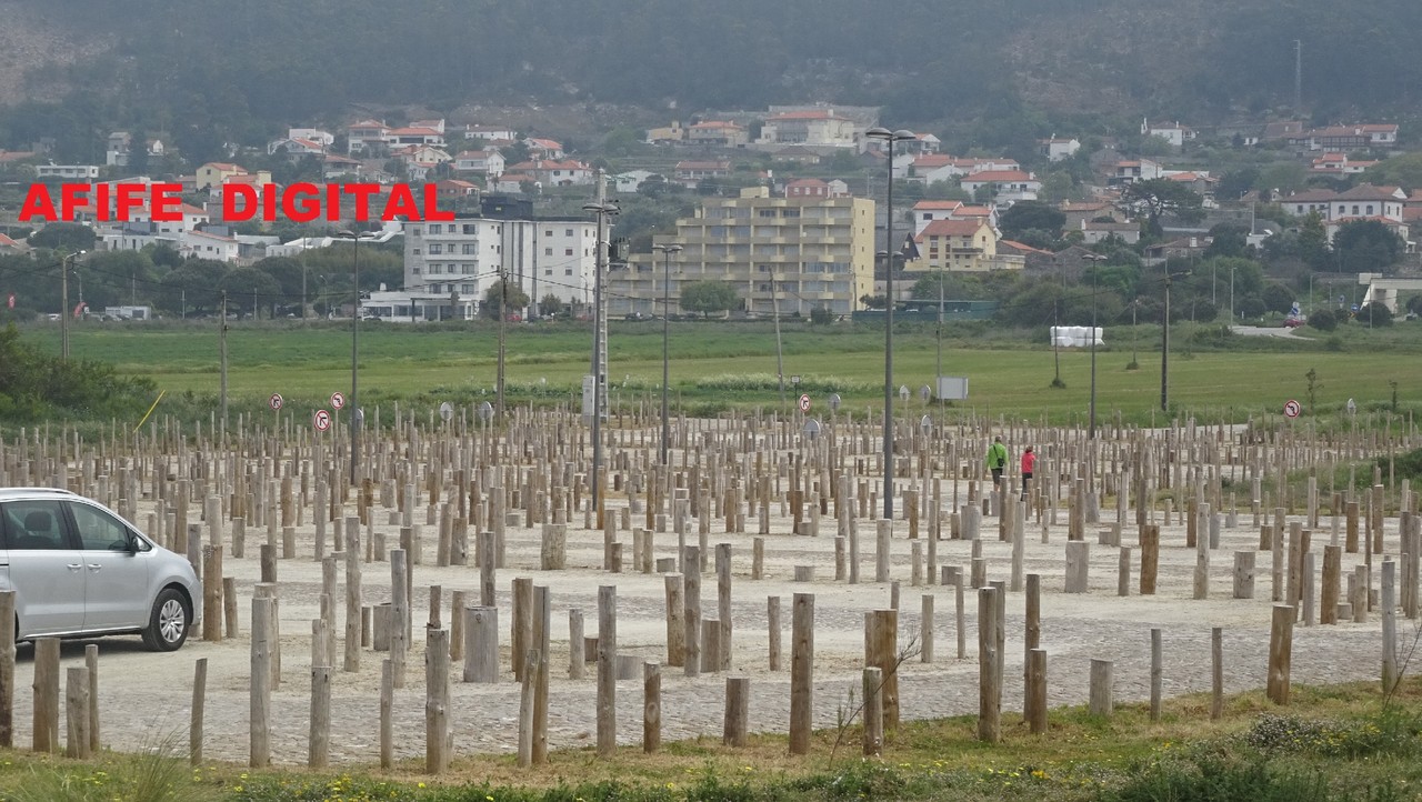 DSC00066.JPG DSC00066.JPG