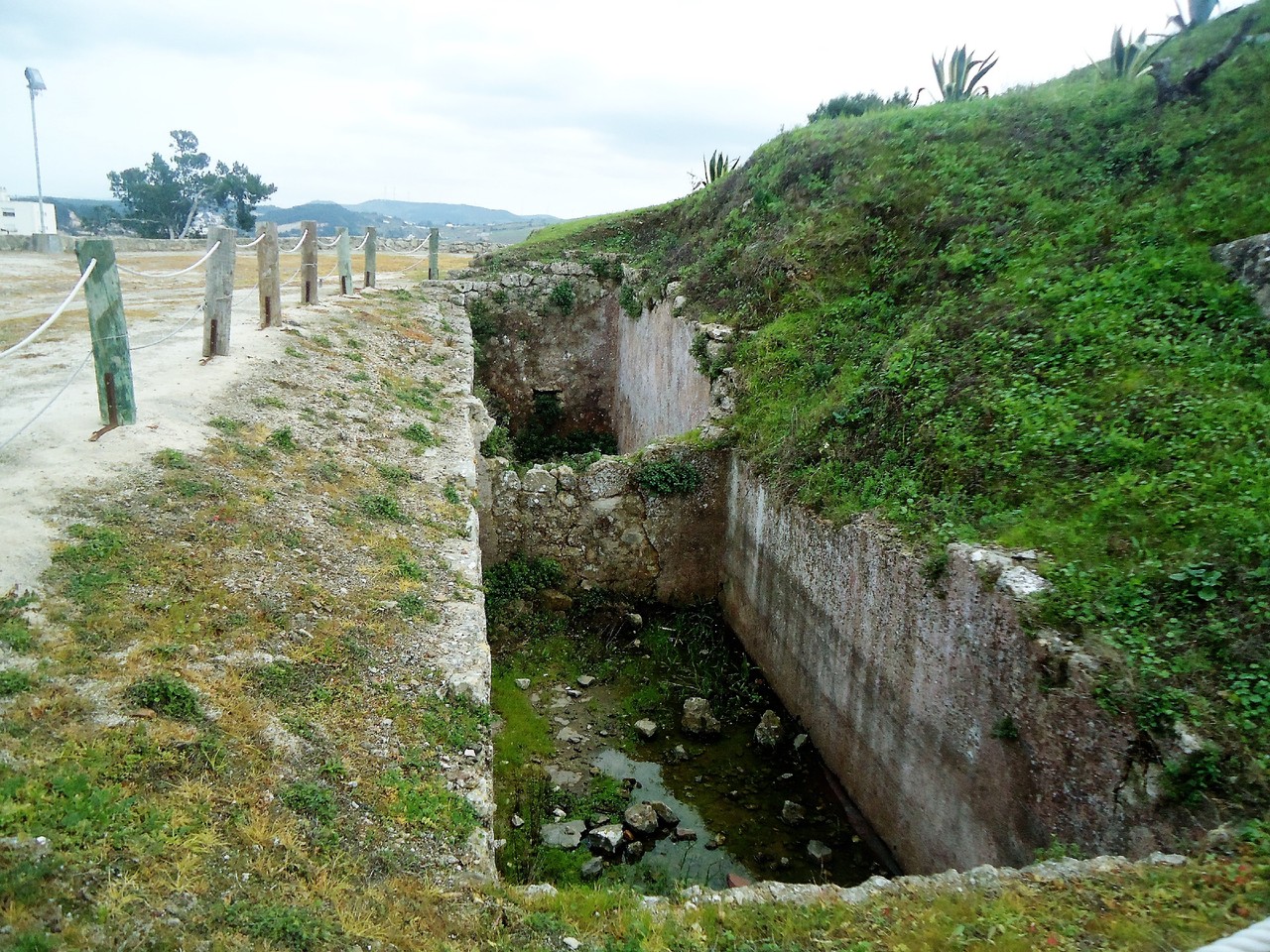 DSC07344.JPG DSC07344.JPG