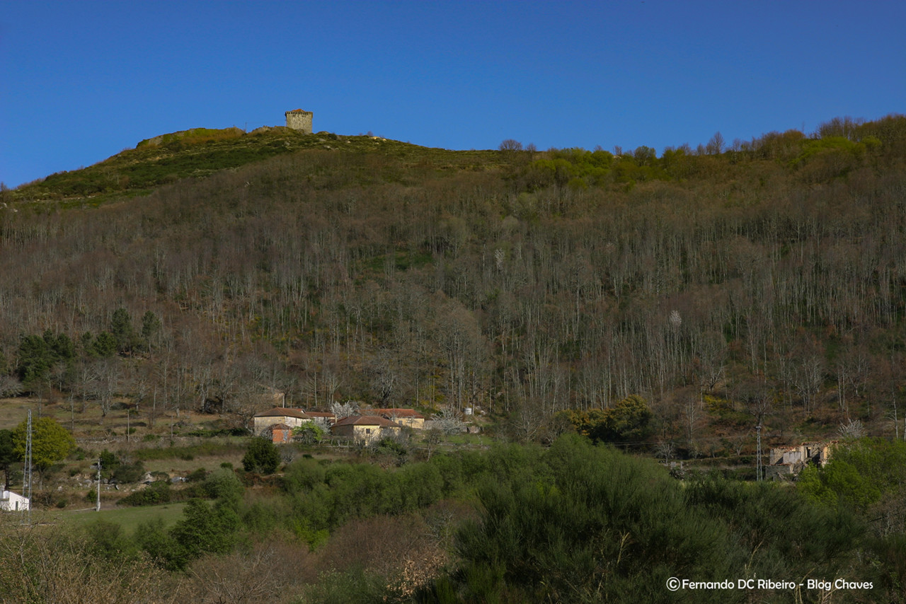 3-1600-assureiras-b (70)-video.jpg