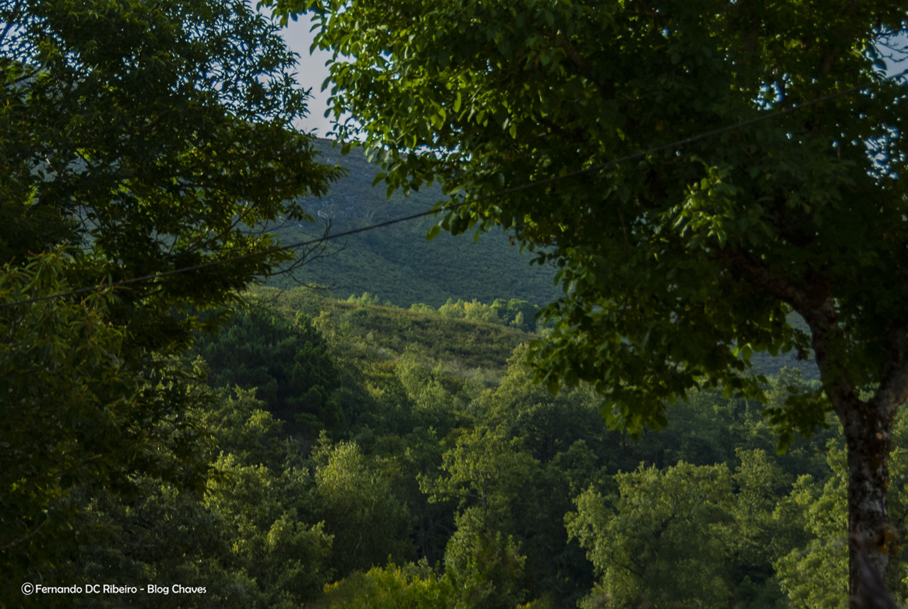 1600-codessoso (134)-video.jpg