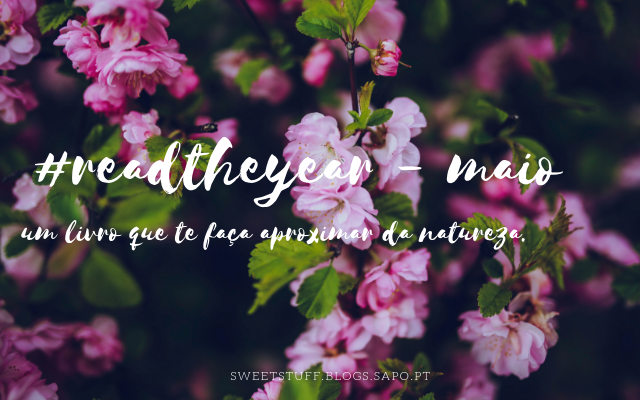 read the year maio.png