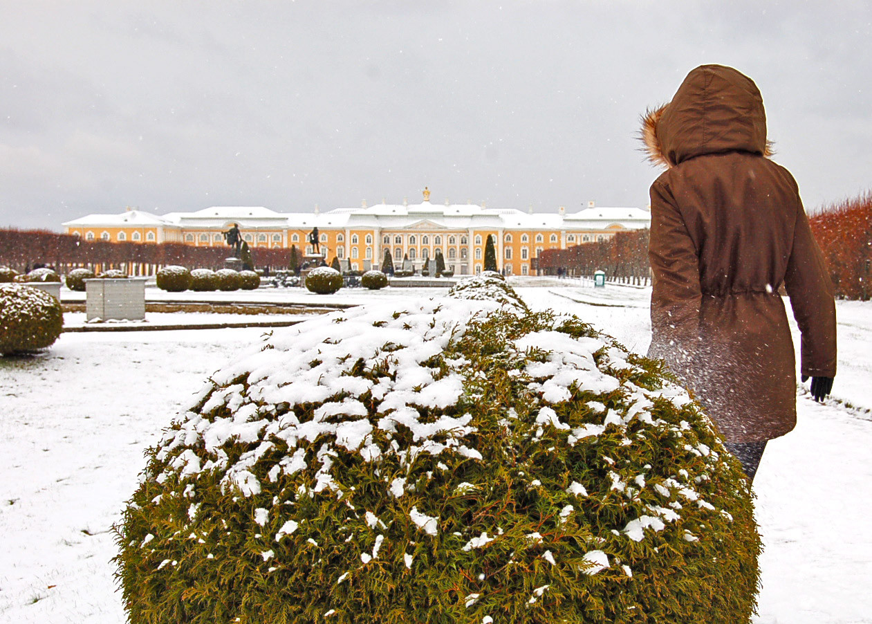 Peterhof Palace Peterhof Palace