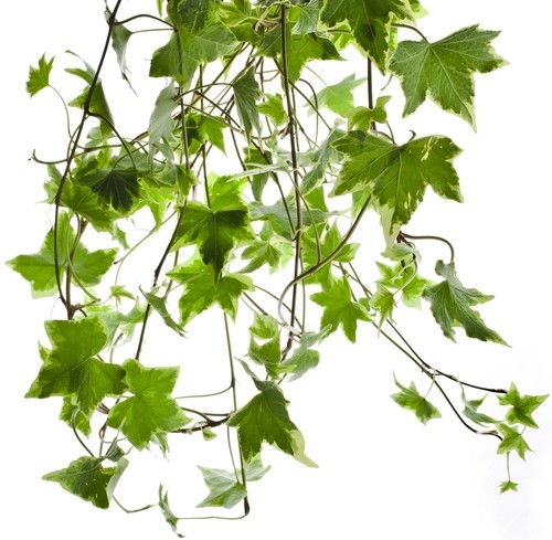 39a737e8e8adc5ae420603778a339ea4.jpeg 39a737e8e8adc5ae420603778a339ea4.jpeg