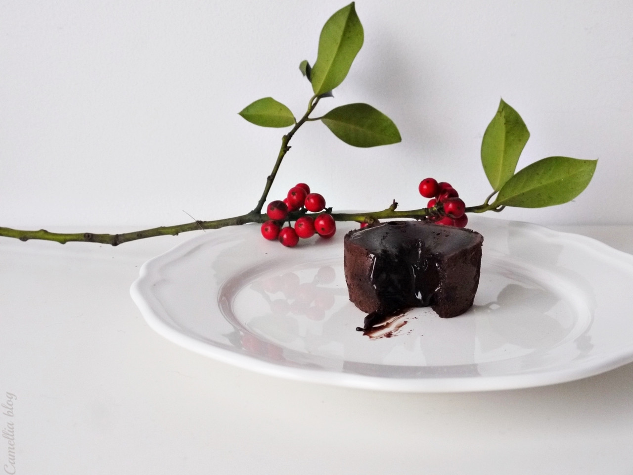 1 ano de Camellia (2).JPG 1 ano de Camellia (2).JPG