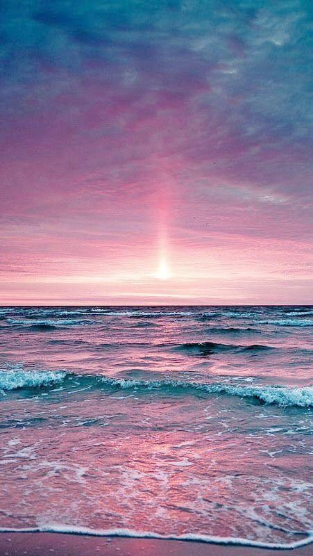 17353136_1262049710537574_2493248988620905430_n.jp