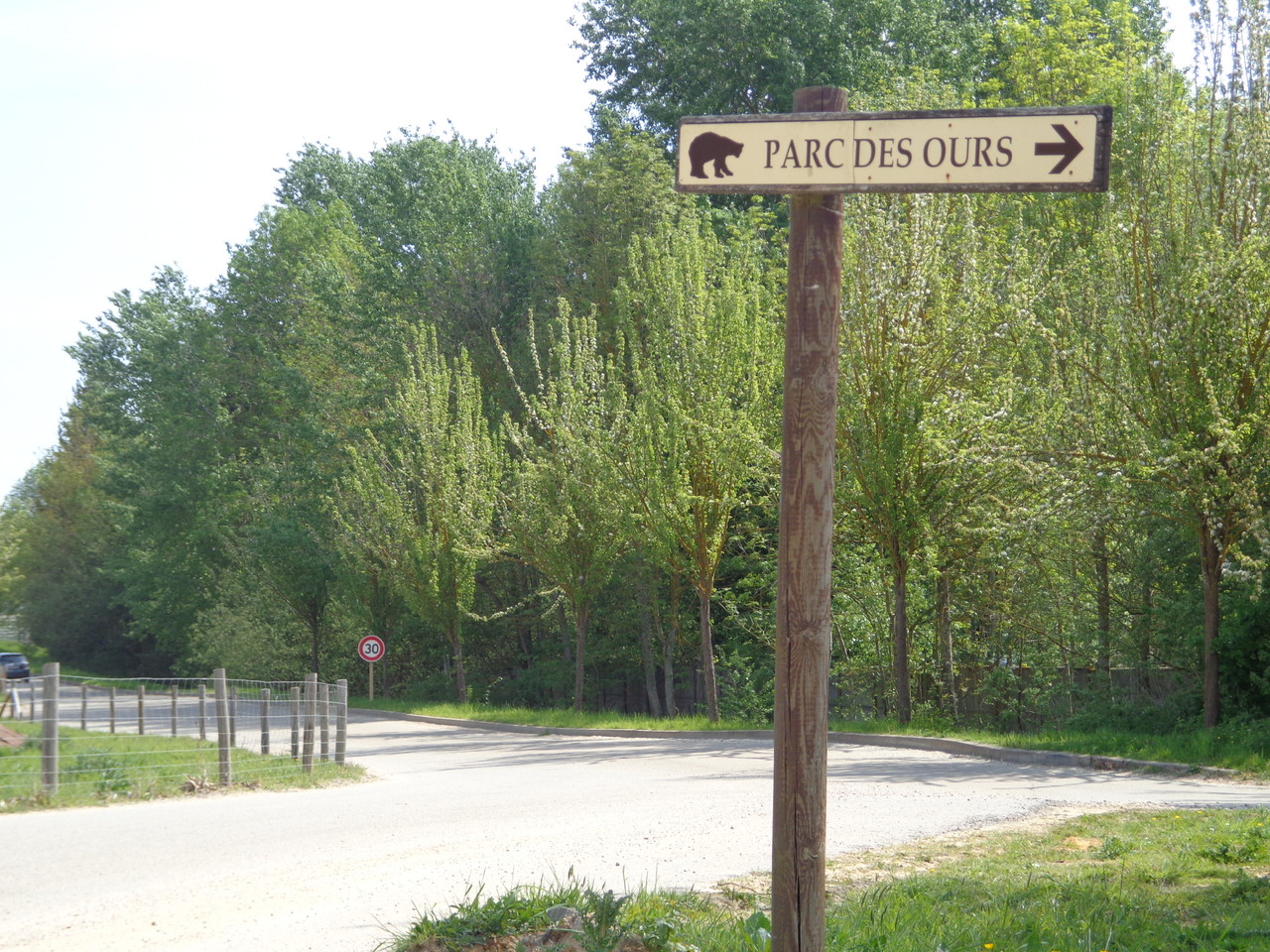 DSC09359.JPG DSC09359.JPG