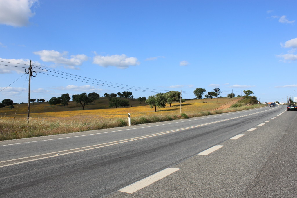 N.º 4699 — Alentejo © 2012