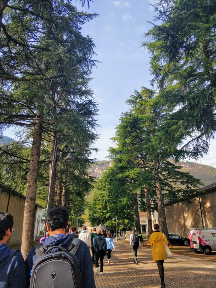 Rua de pinheiros em Trento.jpg