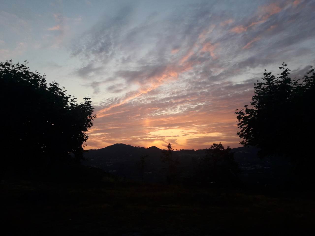 IMG_20190716_214912_818.jpg IMG_20190716_214912_818.jpg