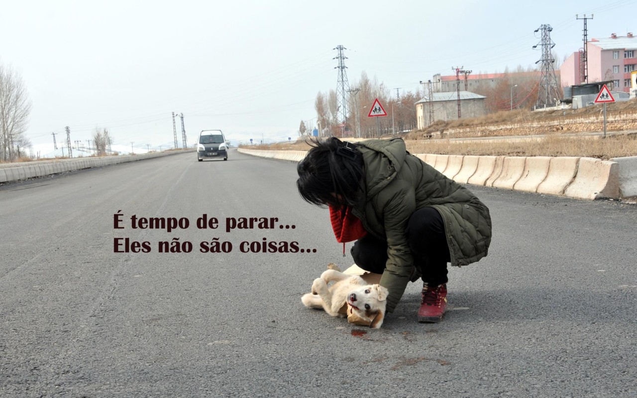 11930828_477149985786130_6103070197125453100_o[1].