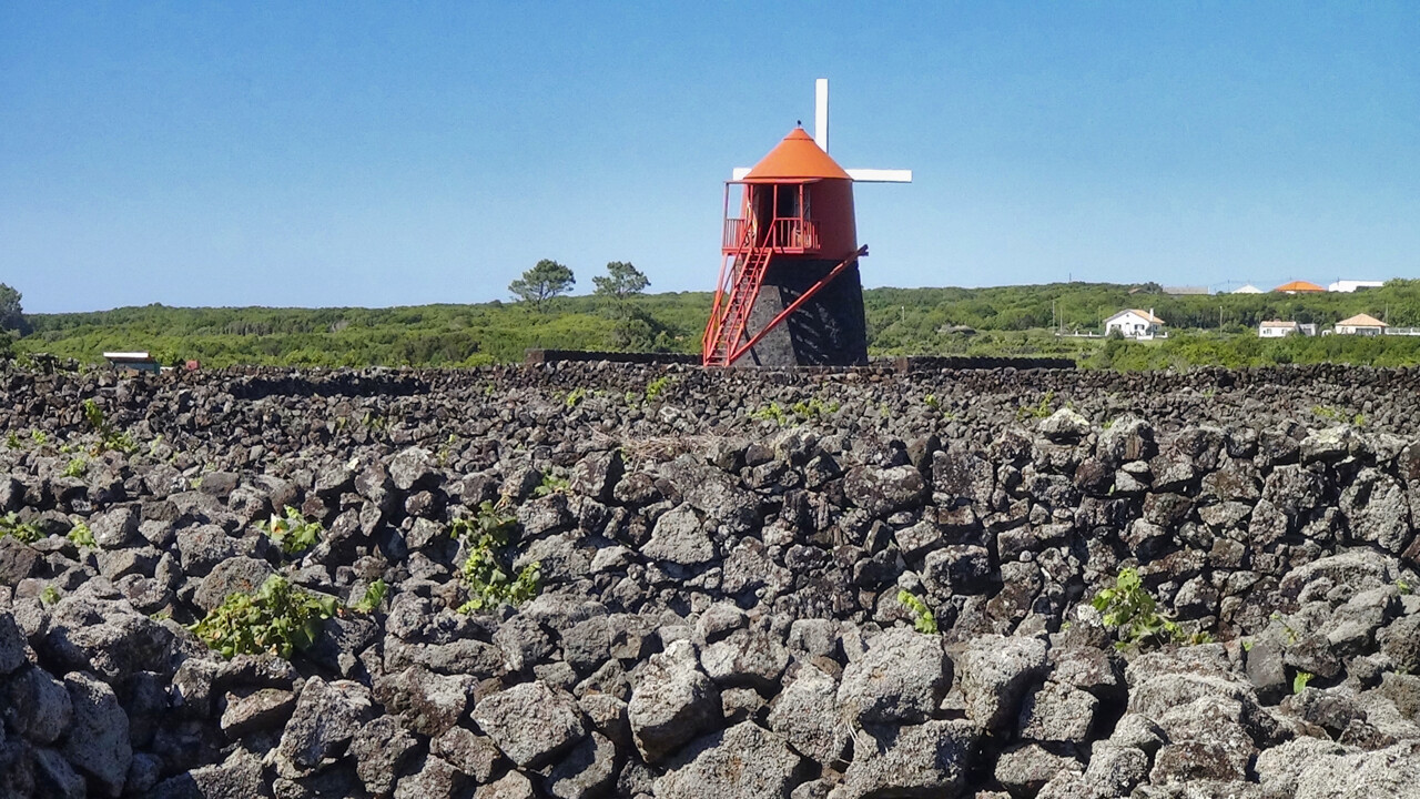 Moinho Ilha do Pico.jpg