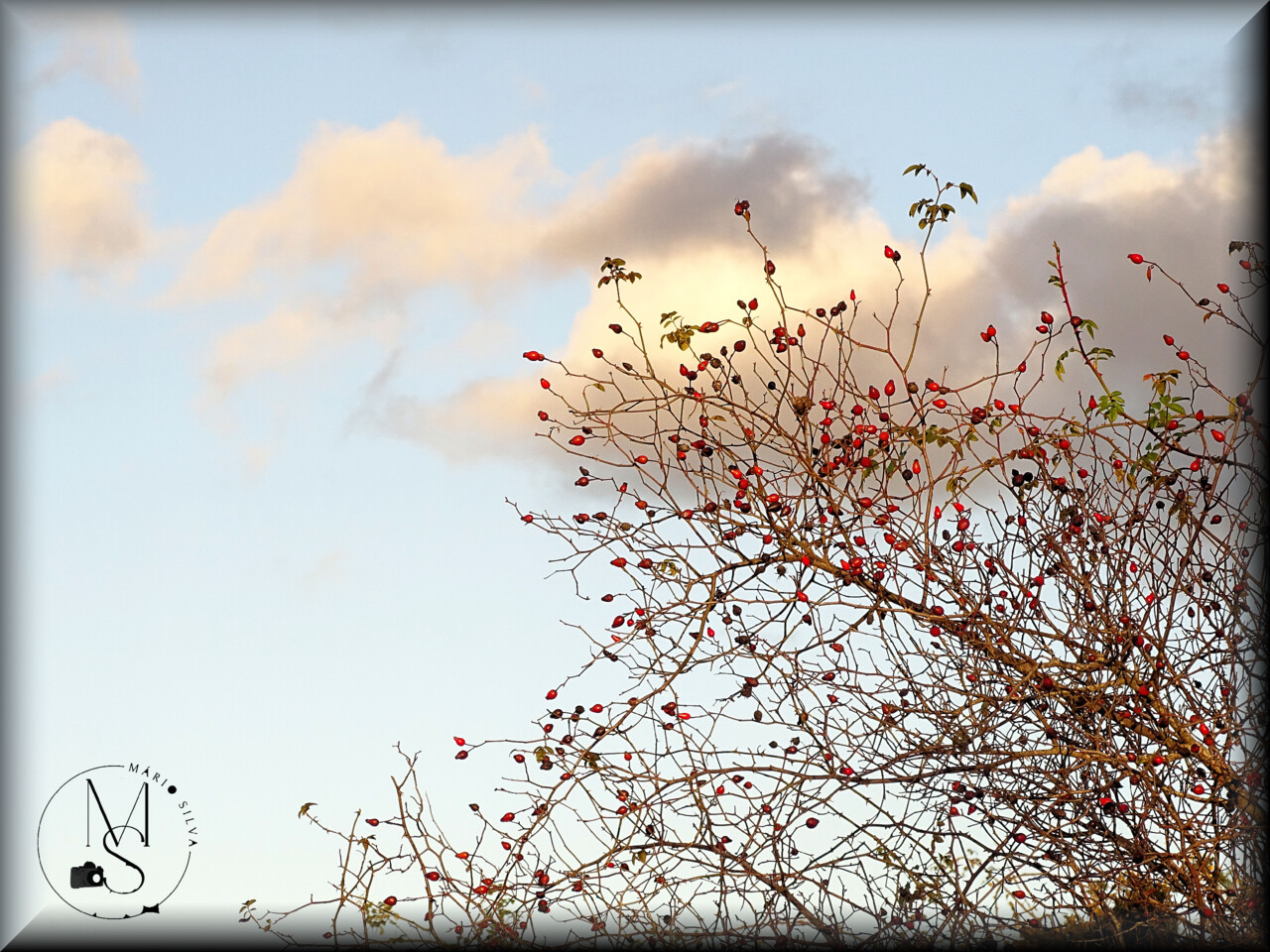 16Dez DSC05125_ms.JPG