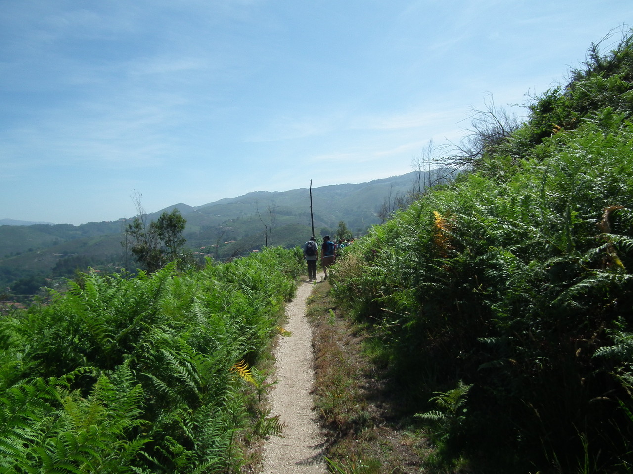 DSCF2214.JPG DSCF2214.JPG