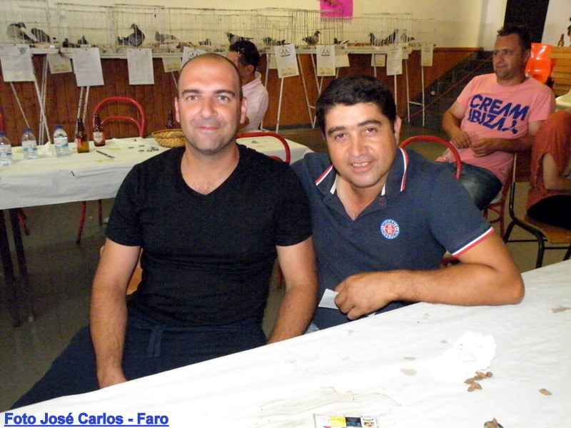 Leilão Ervidel 2017 035.JPG