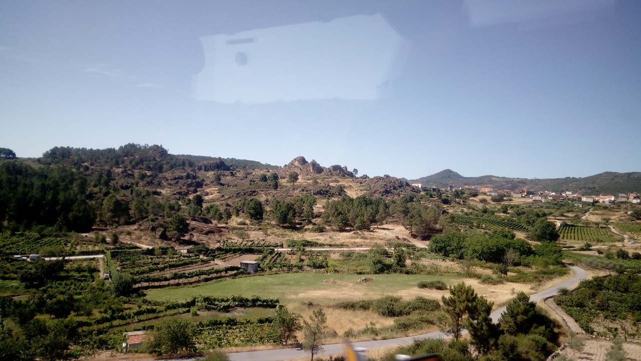 IMG_20170701_102752.jpg IMG_20170701_102752.jpg