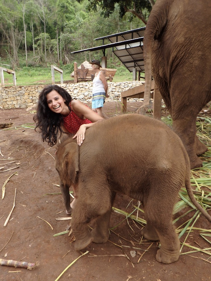 P6103969.jpg P6103969.jpg