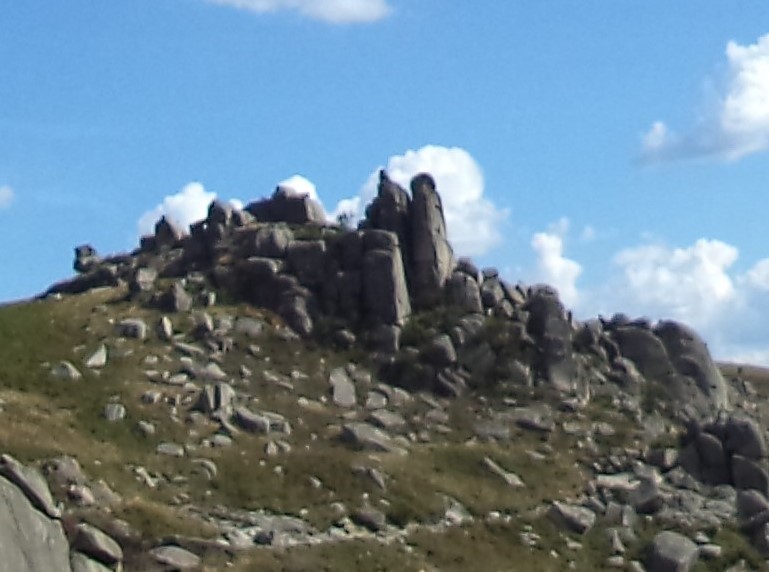 DSC08772.JPG DSC08772.JPG