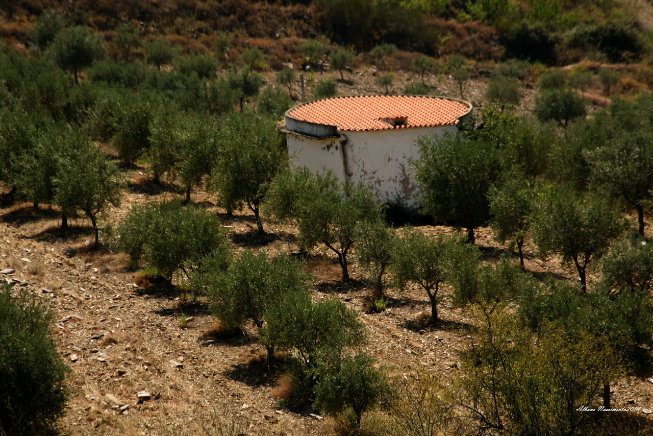 douro (147).JPG