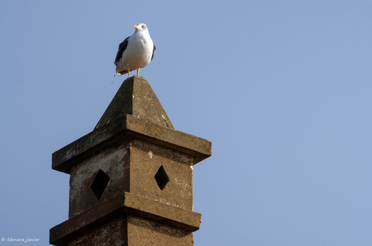 2017.- VNG - Casa Branca (Fujufilm) (14).jpg