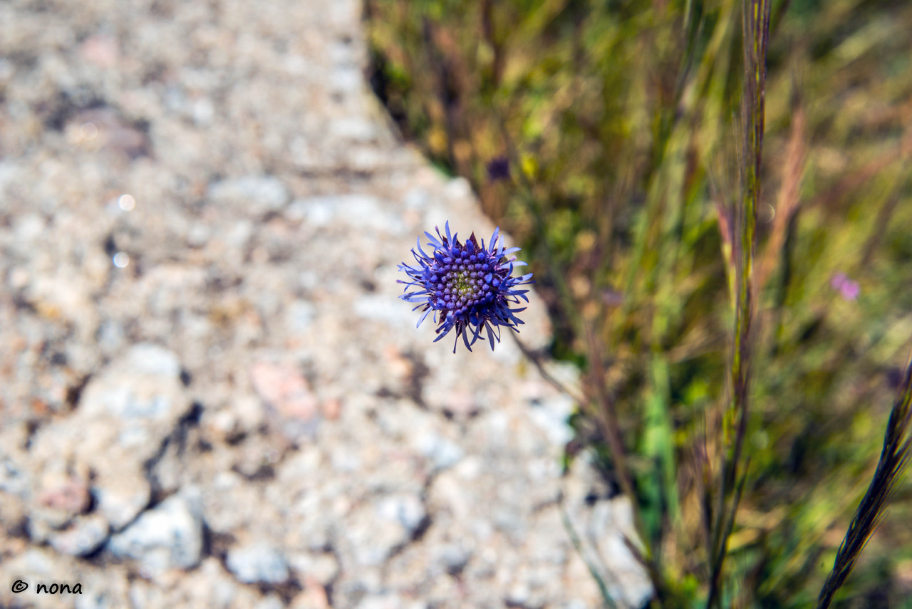 23.- Vagueando pela Montanha.jpg