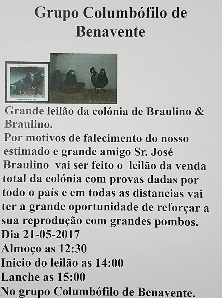 Leilão Benavente.jpg