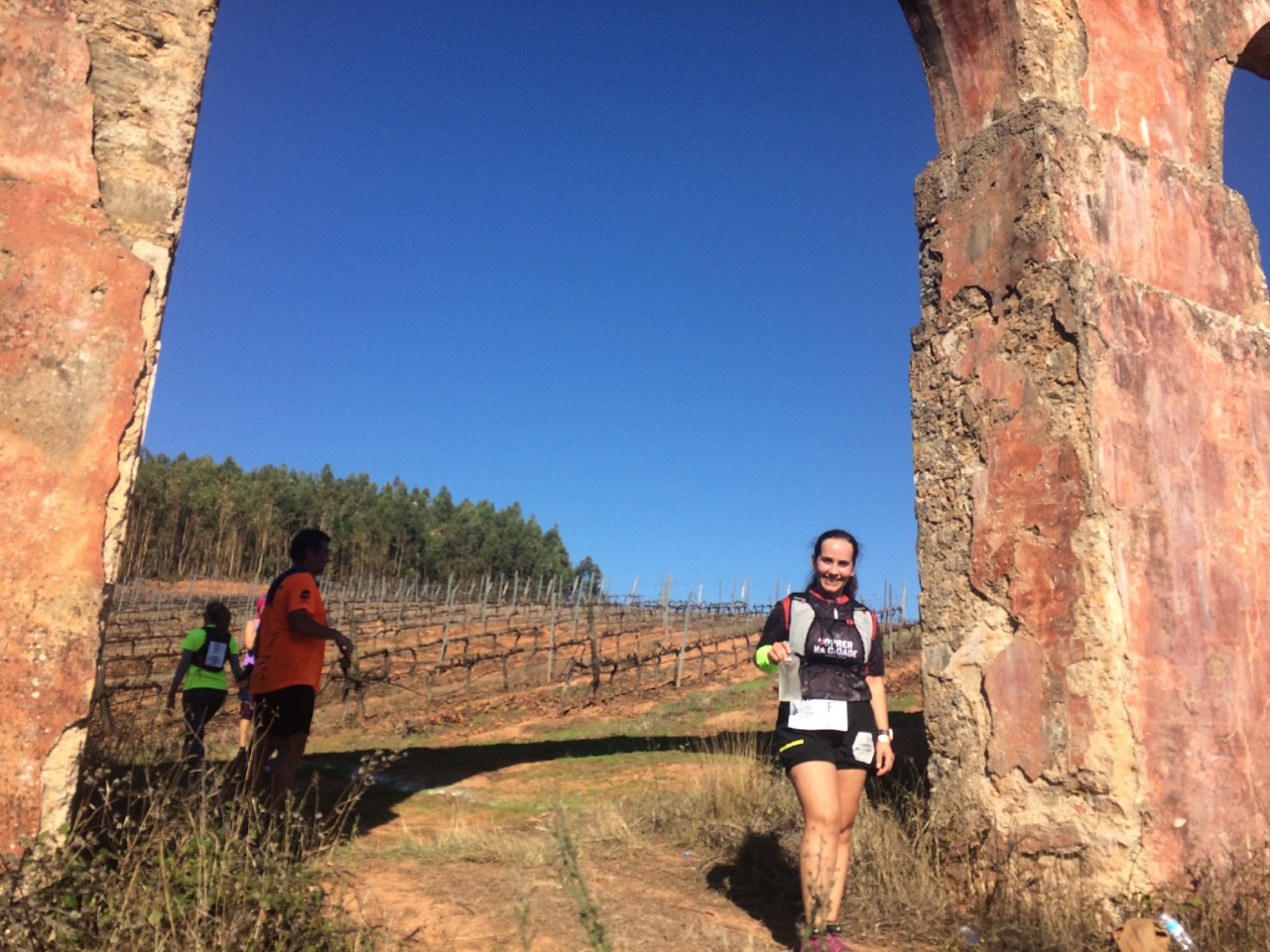 IMG_8977.JPG IMG_8977.JPG