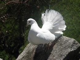 119010356_3281719911915885_2498692344294751461_n.j