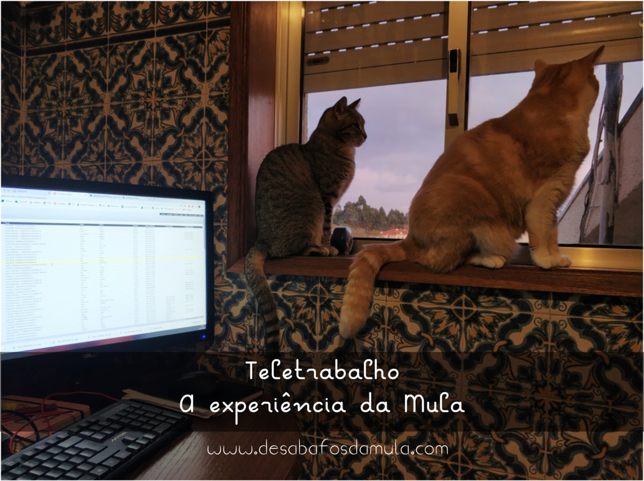 1603742875638.jpg 1603742875638.jpg