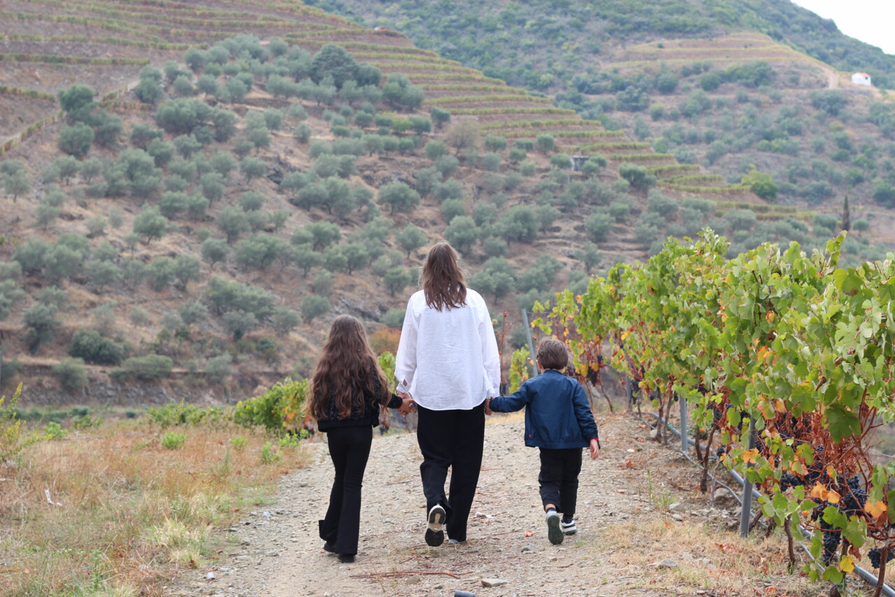 Quinta São José do Barrilário 