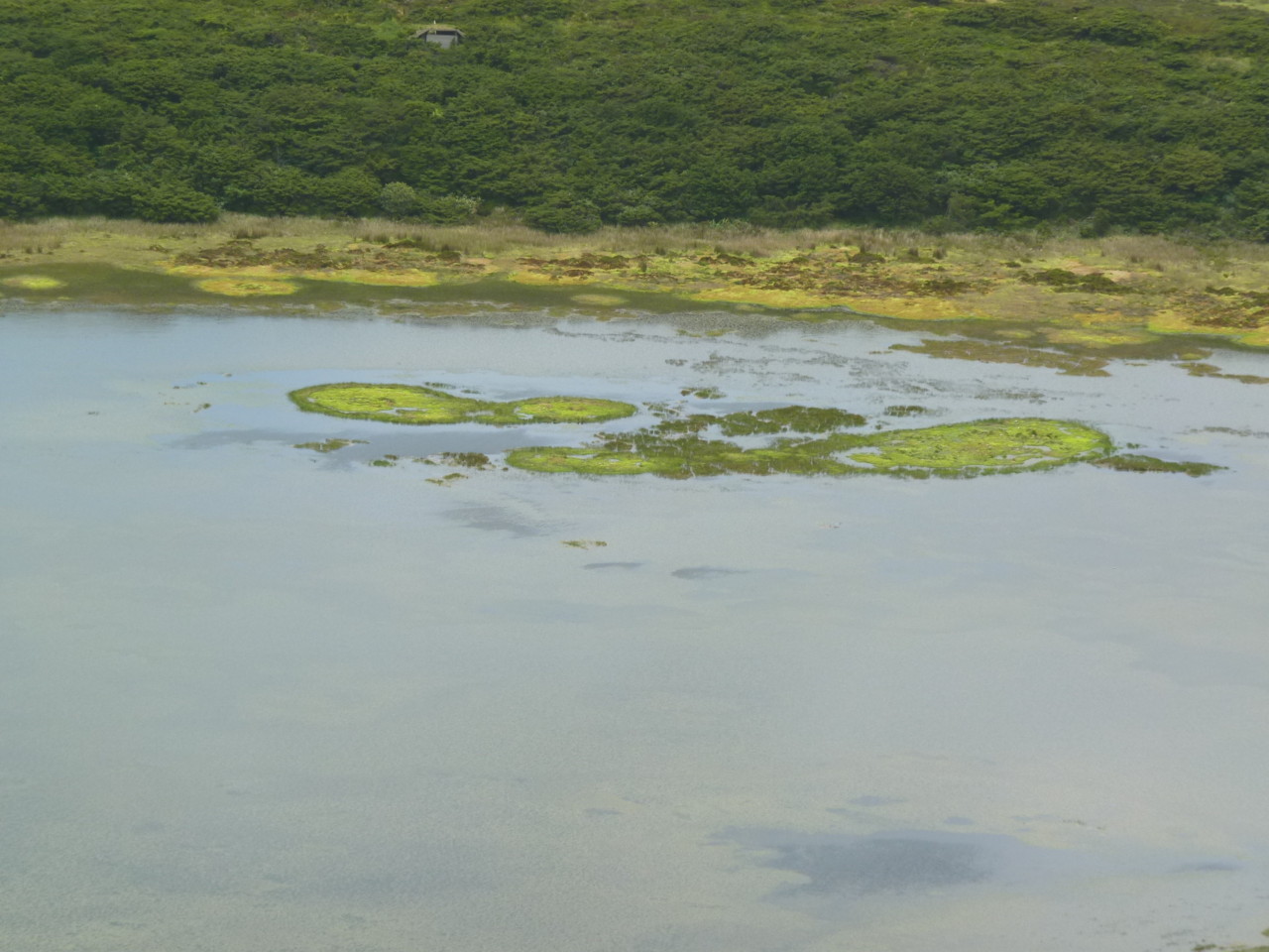 Lagoa Branca, Flores (4).JPG