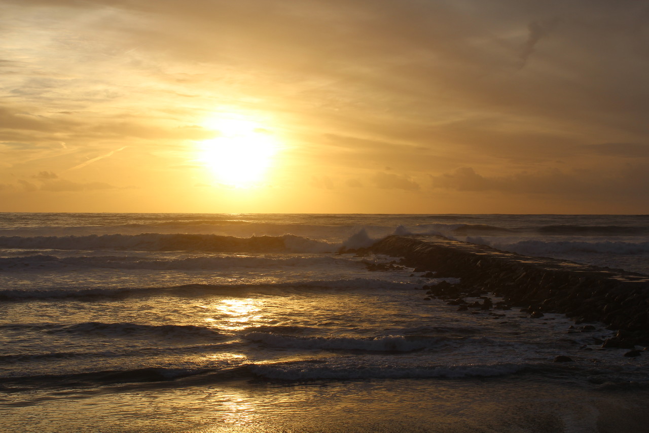 IMG_0187.JPG IMG_0187.JPG