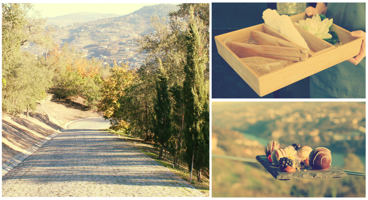 Douro Royal Valley e Douro Palace