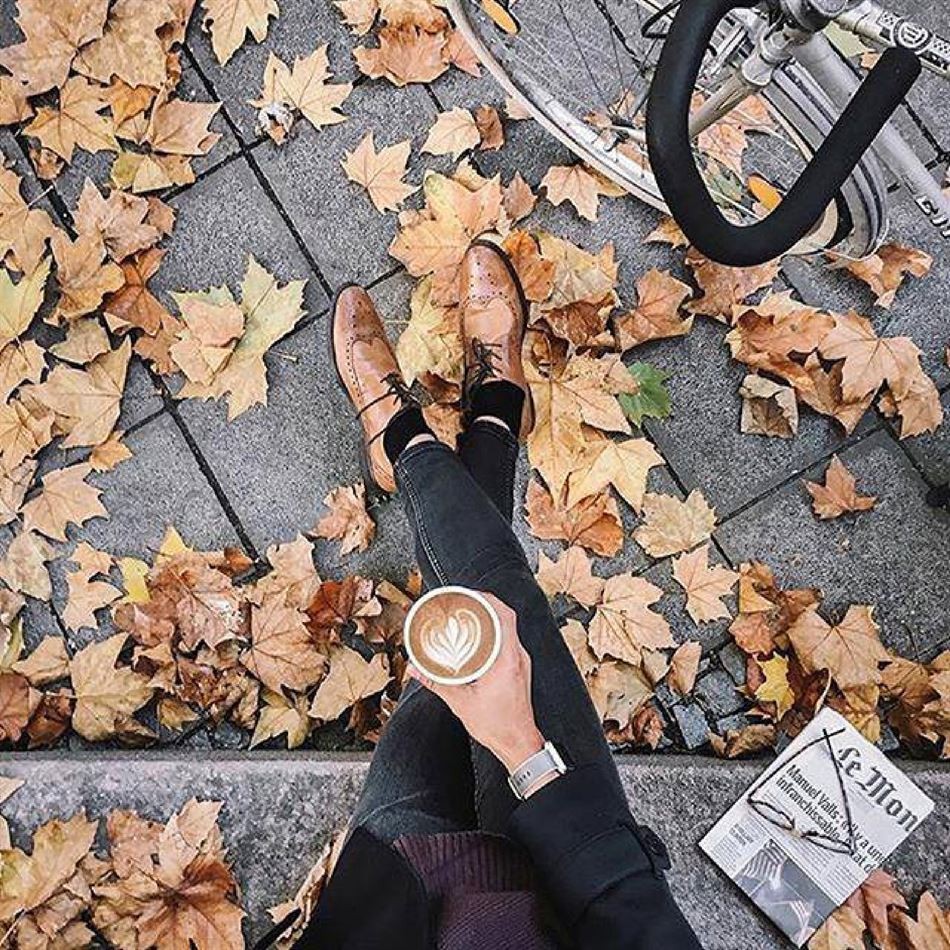 catalogo-aldo-outono-inverno-2016-2017 (11).jpg catalogo-aldo-outono-inverno-2016-2017 (11).jpg