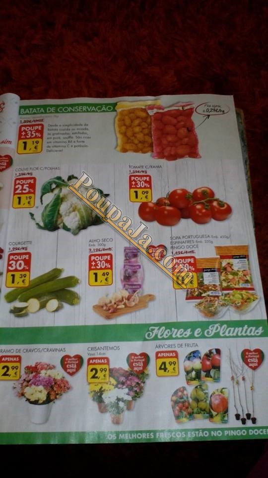 watermarked-10665705_10201953901048456_41236395637 watermarked-10665705_10201953901048456_41236395637