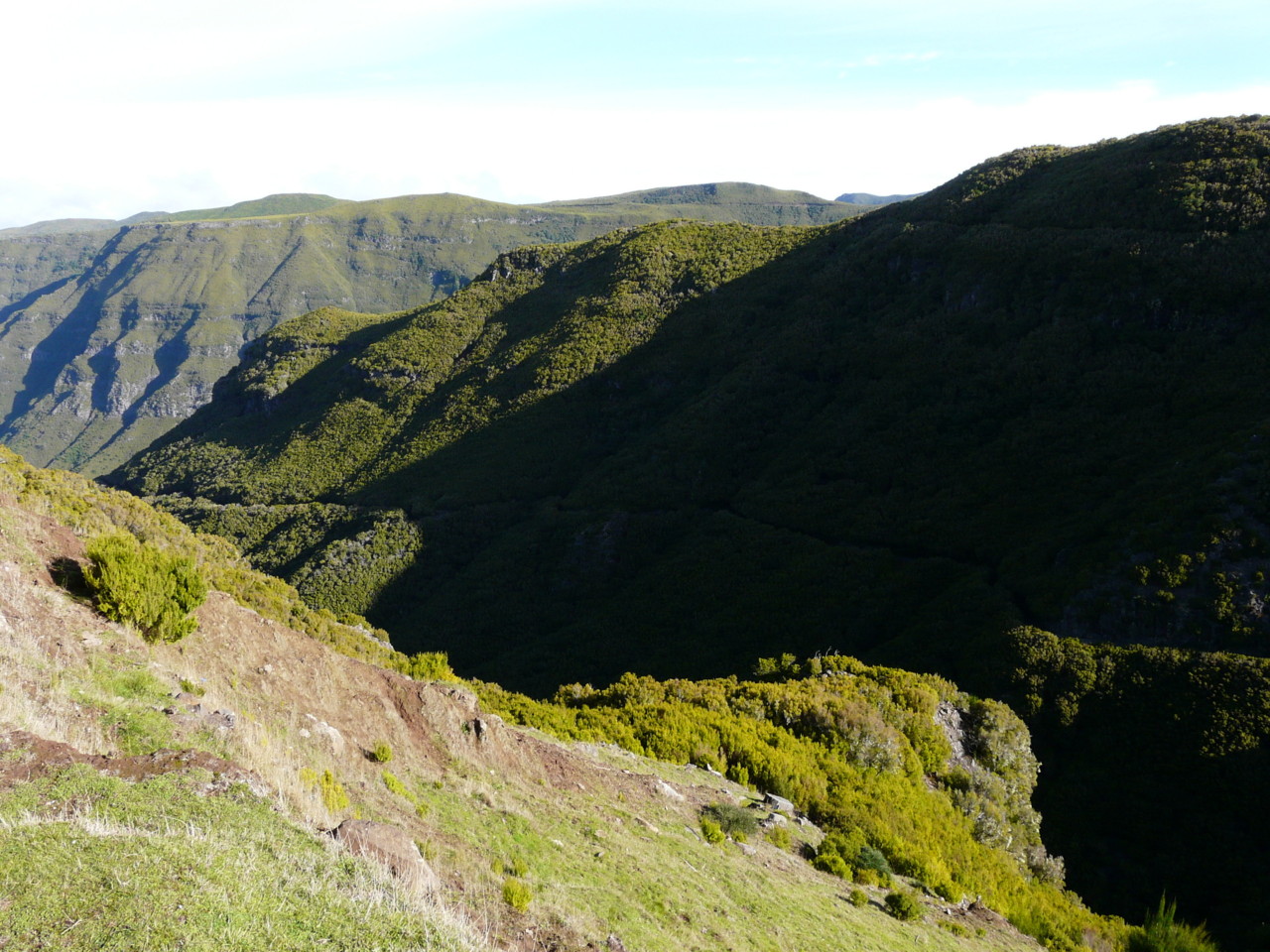 25 Fontes (1).jpg 25 Fontes (1).jpg