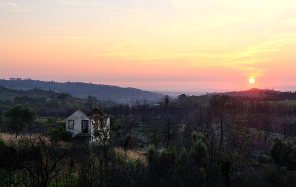 Torrozelo2018_1_600.jpg Torrozelo2018_1_600.jpg