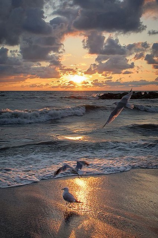 DYRd6t0XkAAvIUT.jpg DYRd6t0XkAAvIUT.jpg