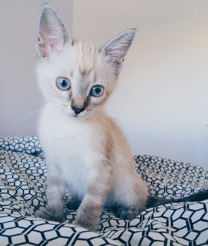 AVJB9953.jpg AVJB9953.jpg