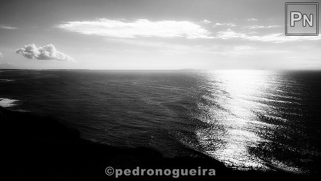 Jun_2019_041a 650px.jpg