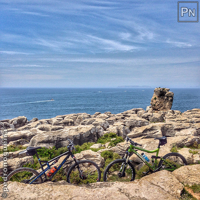 Mai_2017_091a 650px.jpg